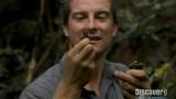 Man vs Wild-Survivre à la faim