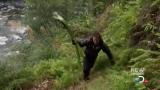 Man vs Wild-Travail sur la nature