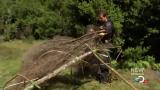 Man vs Wild-Travail sur la nature