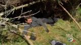 Man vs Wild-Travail sur la nature