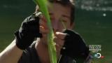 Man vs Wild-Travail sur la nature