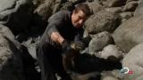 Man vs Wild-Travail sur la nature