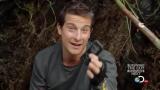 Man vs Wild-Travail sur la nature