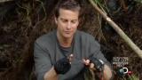 Man vs Wild-Travail sur la nature