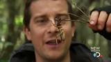 Man vs Wild-Travail sur la nature