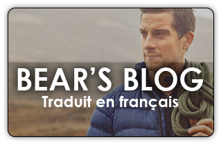 le bear's blog traduit en francais