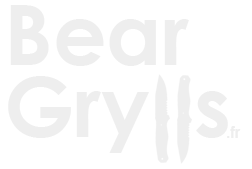 logo beargrylls