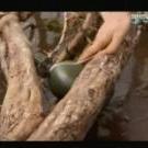 Gourde cantine Olive Drab plastique de bear Grylls